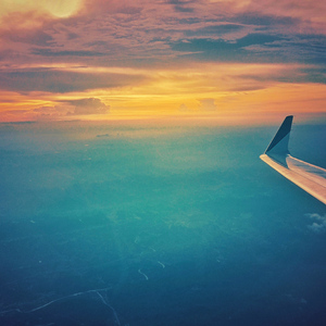 在哪个网上看毛片
