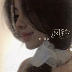 在哪个网上看毛片
