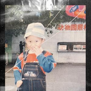 在哪个网上看毛片
