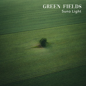 在哪个网上看毛片
